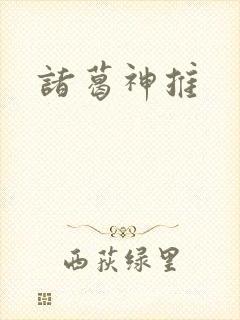 诸葛神推