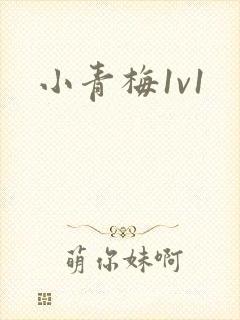 小青梅1v1