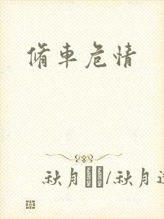 修车危情封面