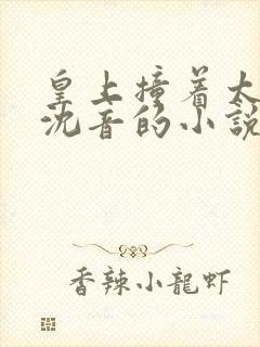 皇上撞着太子妃沈音的小说叫什么