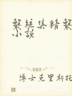系统集精系统 小说