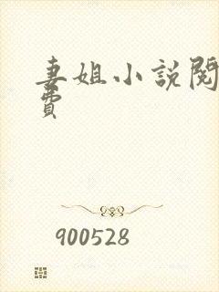 妻姐小说阅读免费