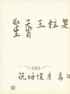 擎天玉柱是什么生肖封面