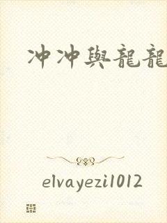 冲冲与龙龙封面