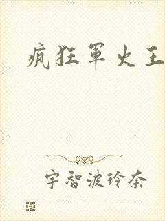 疯狂军火王