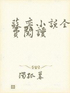 苏奕小说全文免费阅读封面