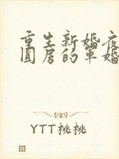 重生新婚夜正在圆房的军婚