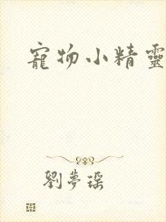 宠物小精灵漫画