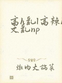 高h乱l高辣h文乱np封面
