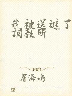 我被送进了私奴调教所