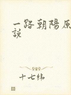 一路朝阳原著小说封面