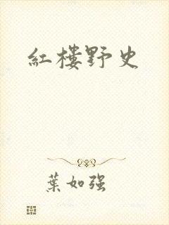 红楼野史封面