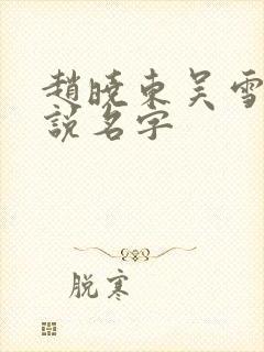 赵晓东吴雪晴小说名字