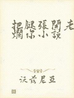 把腿张开老子臊烂你小说封面