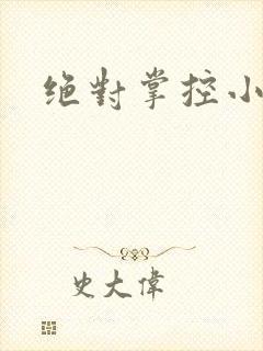 绝对掌控小说