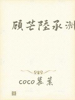 顾芒陆承洲封面