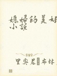 媳妇的美好时代小说封面