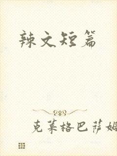 辣文短篇