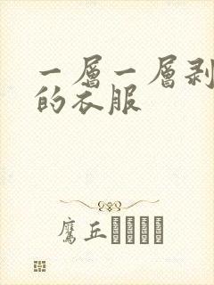 一层一层剥开我的衣服
