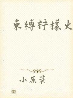 束缚柠檬火焰