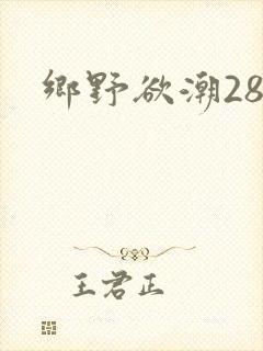 乡野欲潮28章