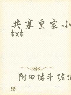 共享皇家小公主txt