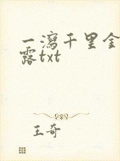 一泻千里金银花露txt