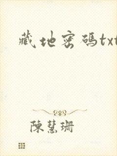 藏地密码txt封面