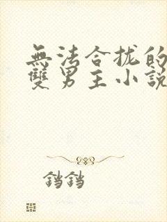 无法合拢的总裁双男主小说