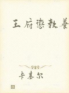 王府惩教养日常