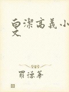 白洁高义小说全文