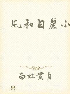 风和日丽小说