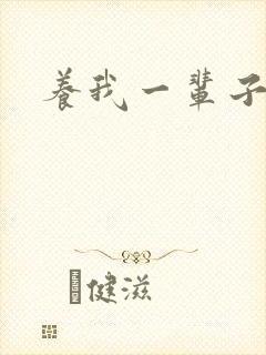 养我一辈子封面
