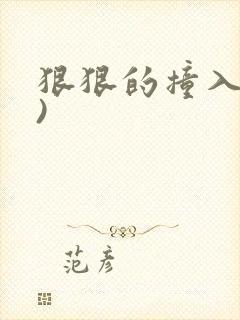 狠狠的撞入(h)