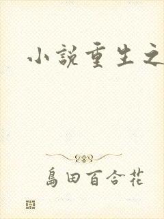 小说重生之官道