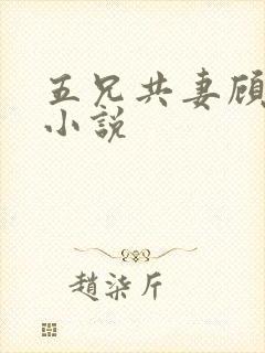 五兄共妻顾心儿小说