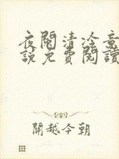夜阑清冷意欢小说免费阅读