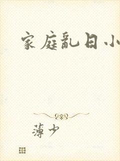 家庭乱日小说