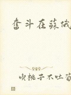 奋斗在苏俄