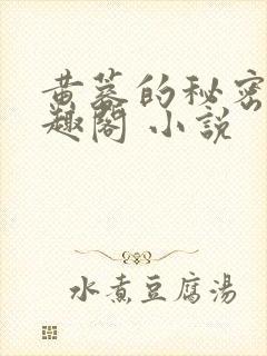 黄蓉的秘密 笔趣阁 小说