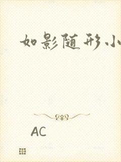 如影随形小说