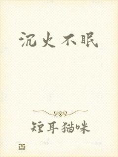 沉火不眠封面