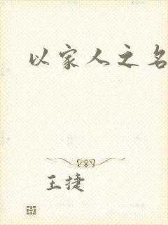 以家人之名小说