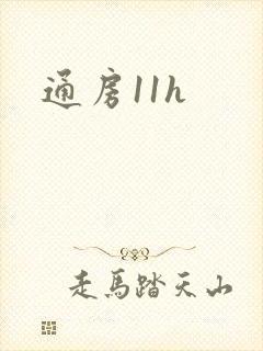 通房11h