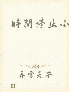 时间停止小说