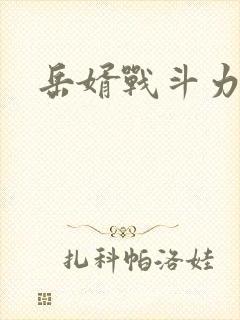 岳婿战斗力
