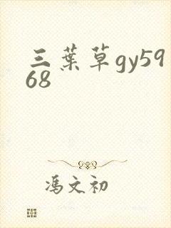 三叶草gy5968