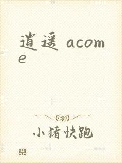逍遥 acome封面