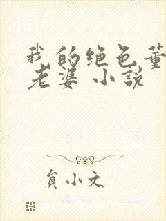 我的绝色董事长老婆 小说