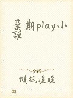 孕期play小说封面